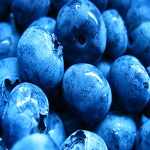 blueberries