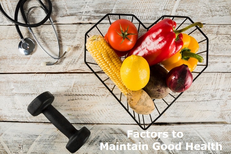 Factors to Maintain Good Health