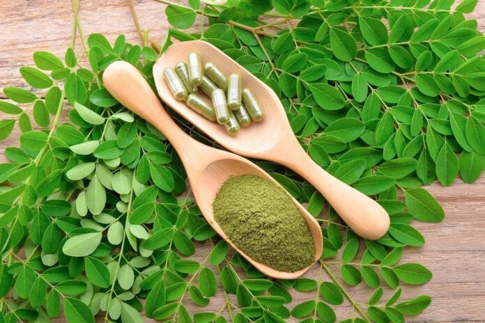 Moringa Powder Benefits