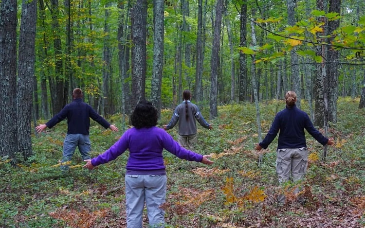 Science Behind Forest Bathing