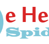 Ehealth Spider Logo